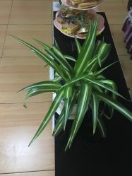 -本真坊美容美体沙龙