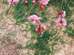 -香山公园