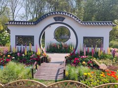 -上海共青森林公园