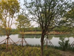 -东郊湿地公园
