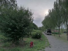 -西青郊野公园