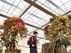 -沂蒙云瀑洞天景区