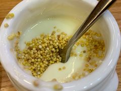 蒙古酸奶（炒米单配）-九十九顶毡房(阜石路店)