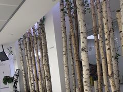-极简口腔(总院)