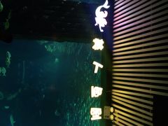 -锦艺城海洋馆