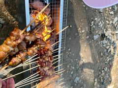 -白河湾生态旅游一条川
