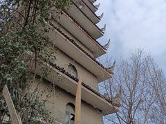 -生宇山珍野生菌汤锅•始于1999(双流古塔店)