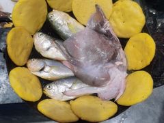 渔锅片片-渔码头食府·20年蓬莱老字号(登州路店)