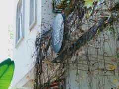 -彳亍咖啡·这里(水湾路店)