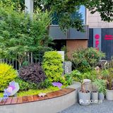 郑州｜Hugs这季新品太好喝了！夏日感受海风