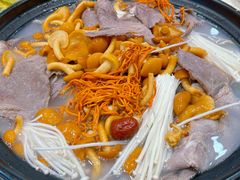 -九寨特色牦牛肉汤锅 羊肉汤锅