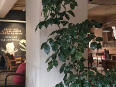 -雕刻时光咖啡馆(南院门店)