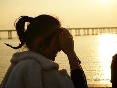 -宝安西湾红树林湿地公园