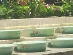 自助调料区-火锅岛潮牌自助餐厅(天津天佑城店)