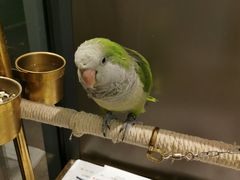 -乌江鱼杭帮菜(西湖店)