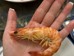 -张树军海鲜(王府壹号店)