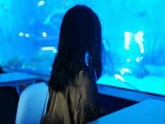 餐饮设施-上海海昌海洋公园