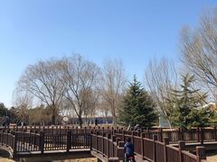 -大兴滨河森林公园