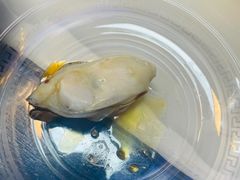 -富临港·蒸汽海鲜·手抓海鲜·炒菜(栈桥店)