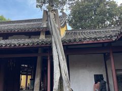 -太平天国侍王府
