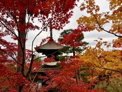 -常寂光寺