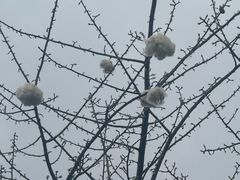 -兴华里茶记(禅城同济首店)