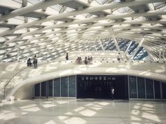 -凤凰中心