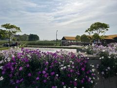 -宁波杭州湾国家湿地公园