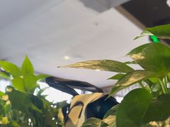 -河沿肉饼Beijing Pie(东华门店)