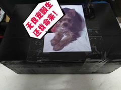 -美联众合动物医院(唯恩分院)
