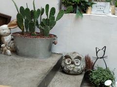 -拾壹cafe·工作室