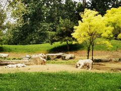 -北京野生动物园