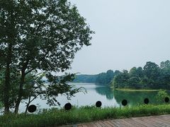 -中海·庐山西海君澜度假酒店·味屿全日制餐厅