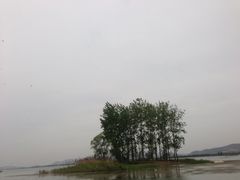 -微山湖红荷湿地景区