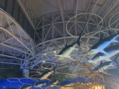 -烟台海昌鲸鲨海洋公园