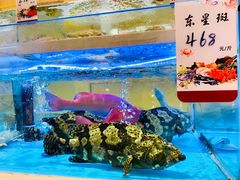 -至尊强仔(正光北街店)