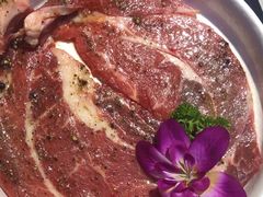 -外婆掌柜·东北家庭烤肉(托乐嘉店)
