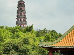 -顺峰山公园