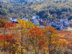 -塔川景区