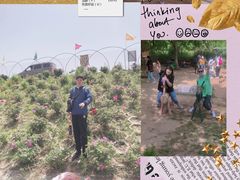 -济南马套将军山