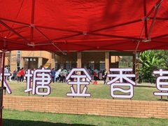 -大塘金香草谷