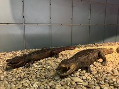 -浙江自然博物院(杭州馆)