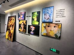 -大树儿童摄影