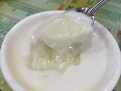 传统双皮奶-顺记冰室(宝华路店)