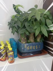 -LJOY丽锦造型·烫发染发