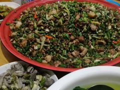 -东吴霸王兔(松青路店)