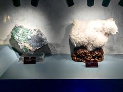 -甘肃地质博物馆