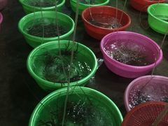 -幸福姐海鲜大排档