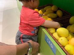 -爱睿思儿童早教亲子游泳(万象城店)