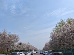 -隋唐大运河文化博物馆